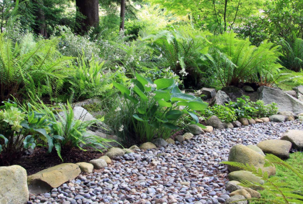 Taman kering dengan tanaman xerofitik dan bebatuan